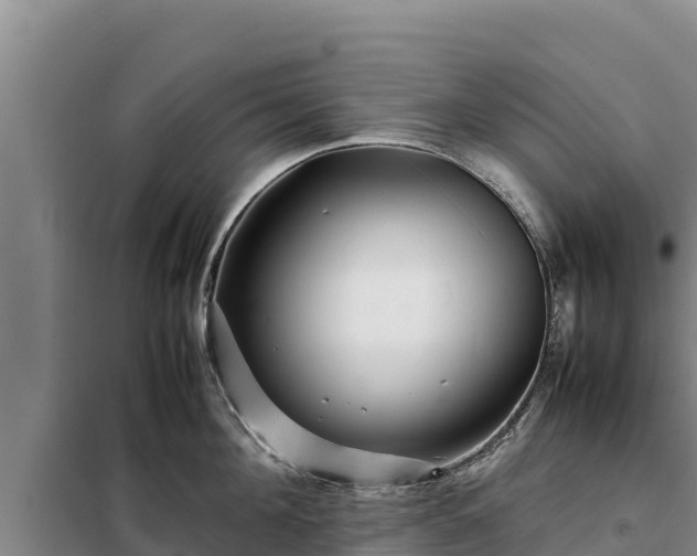 X0000099310908200805091015
