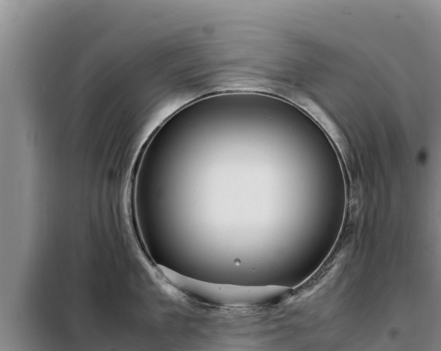X0000099310909200805091015