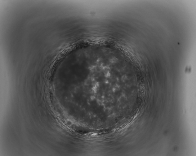 X0000099310913200805091014