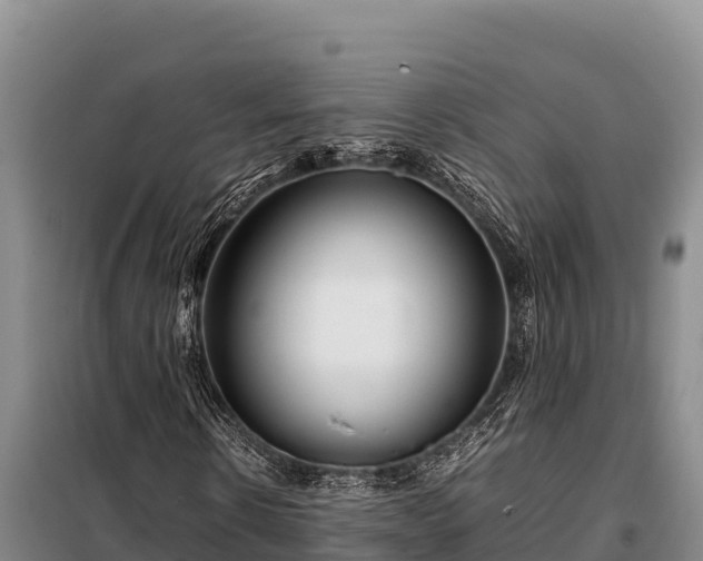 X0000099310914200805091014