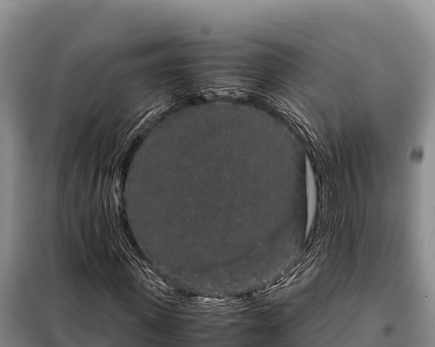 X0000099310915200805091014