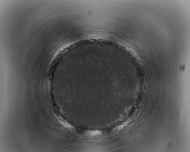 X0000099310920200805091014