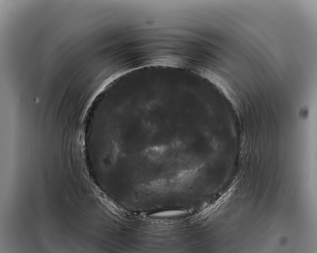 X0000099310923200805091014