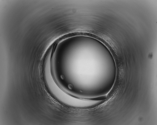 X0000099310926200805091014