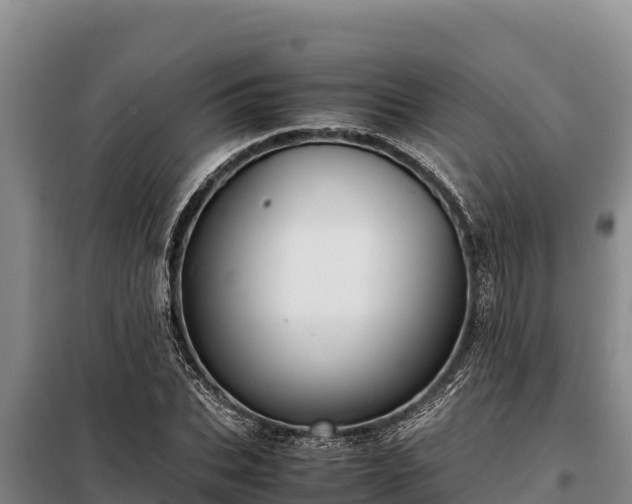 X0000099310927200805091014