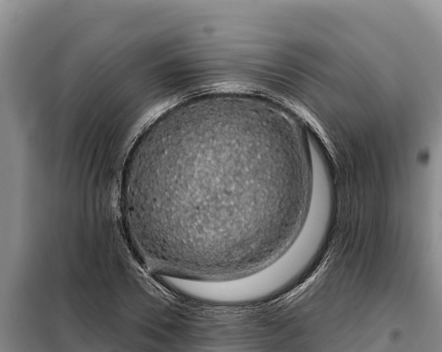 X0000099310930200805091014