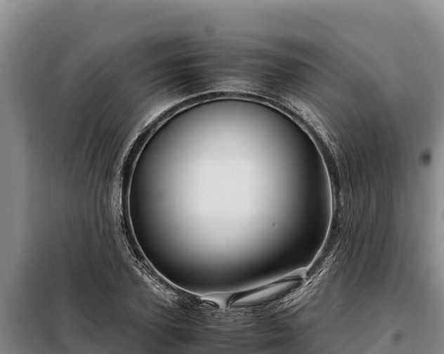 X0000099310931200805091014