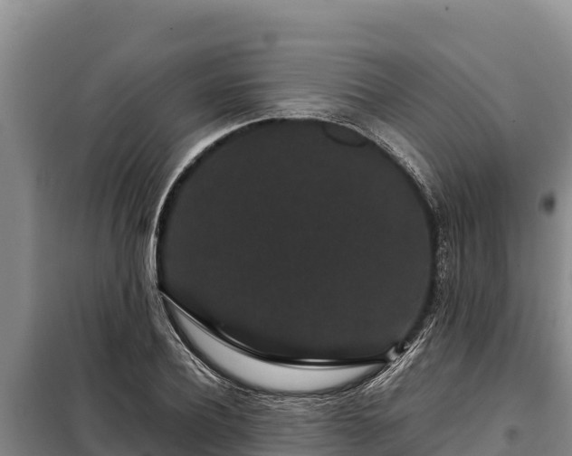 X0000099310932200805091014