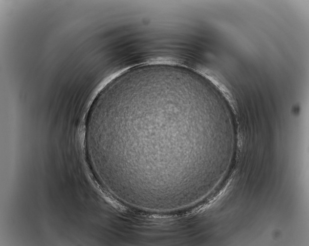 X0000099310933200805091014