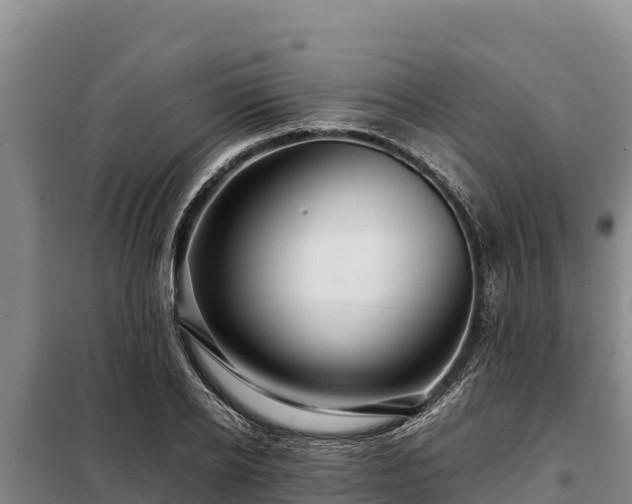 X0000099310934200805091014
