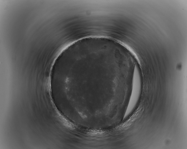X0000099310935200805091014