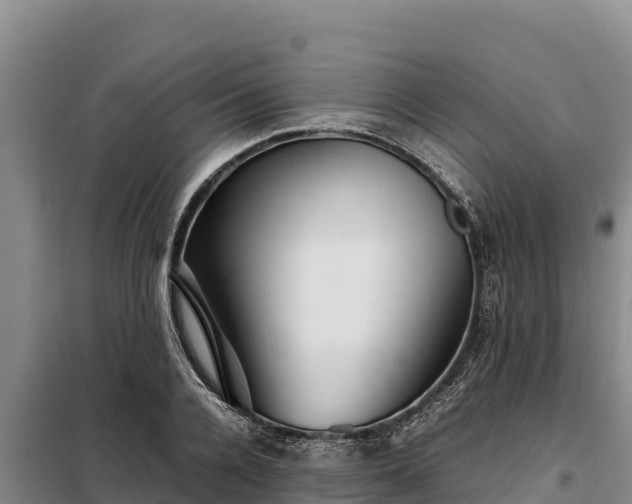 X0000099310936200805091014