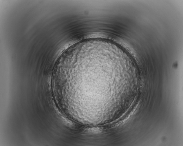 X0000099310937200805091014