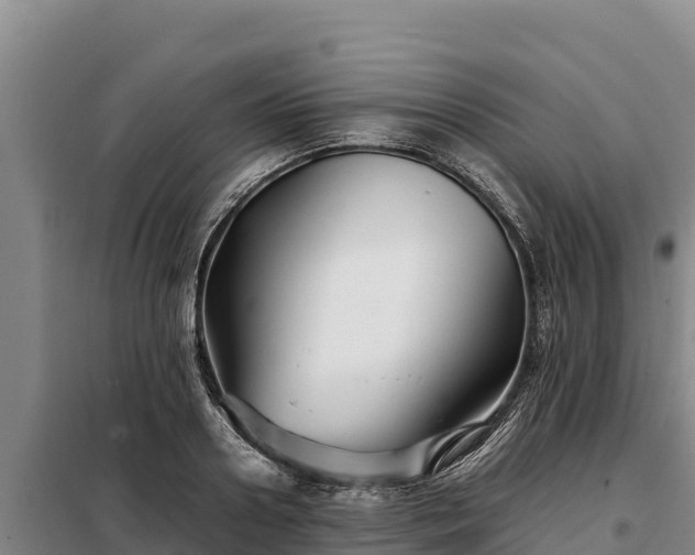 X0000099310938200805091014