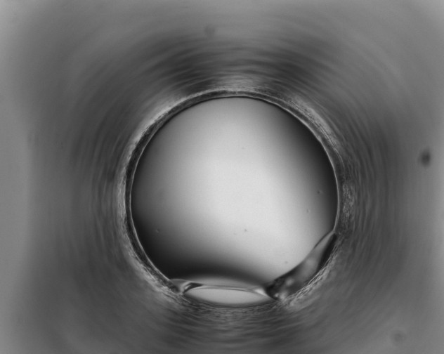 X0000099310939200805091014