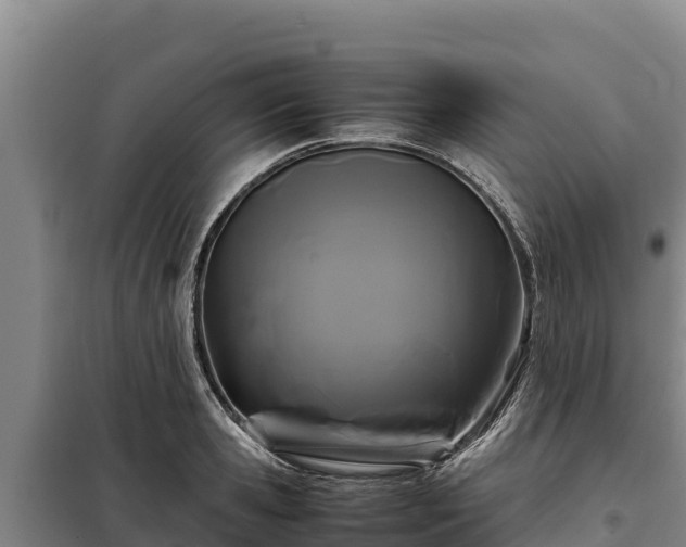 X0000099310941200805091014