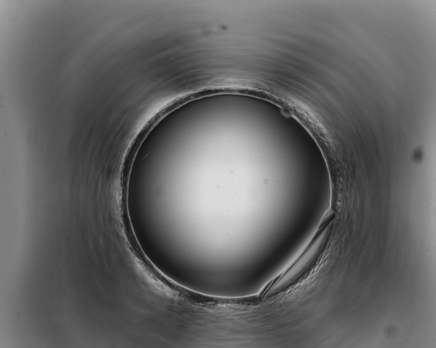 X0000099310942200805091015