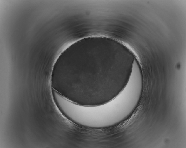X0000099310943200805091015