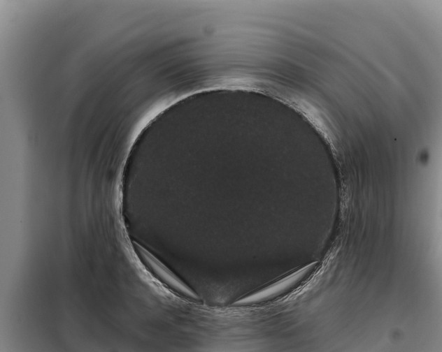 X0000099310944200805091015