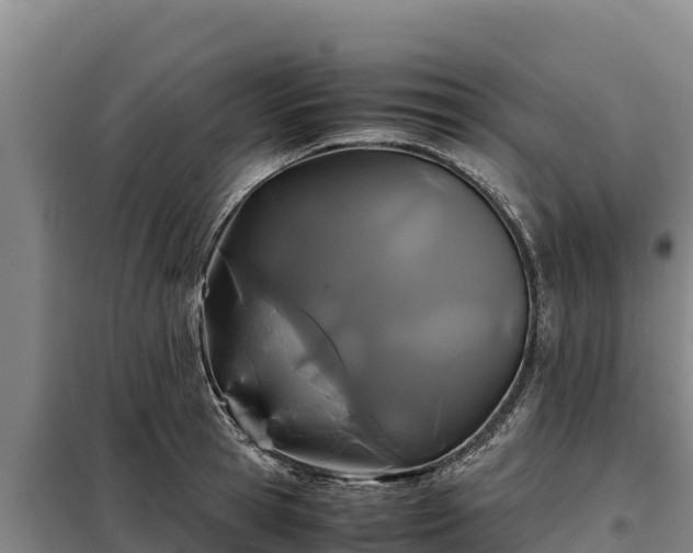 X0000099310945200805091015