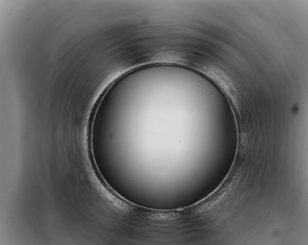 X0000099310947200805091015