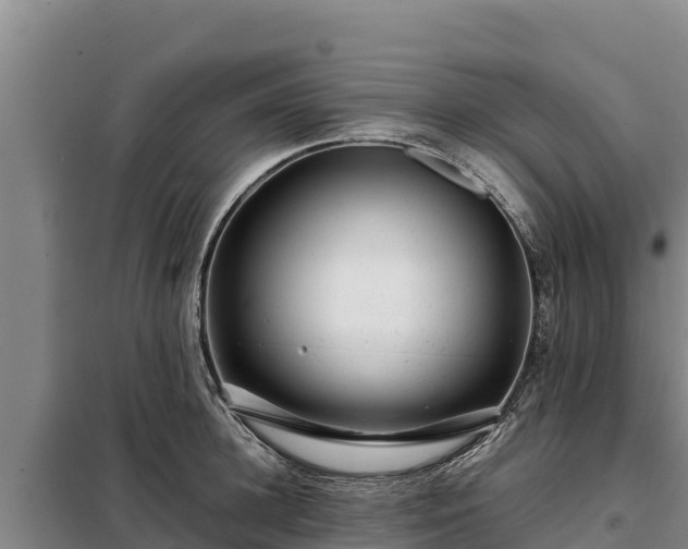 X0000099310948200805091015