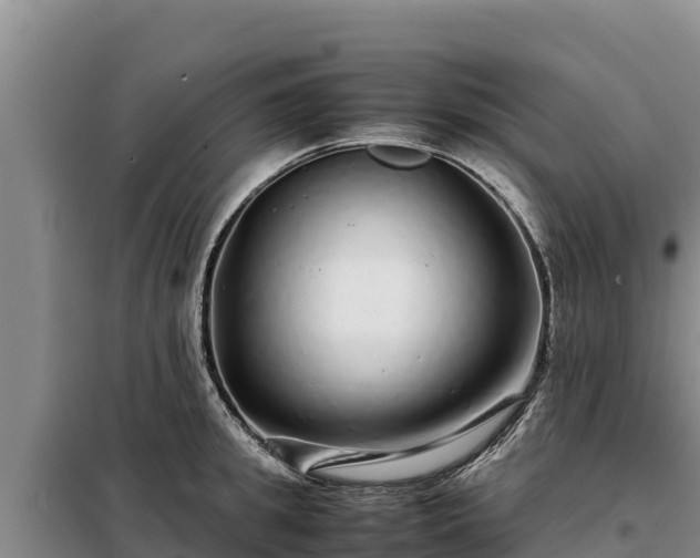 X0000099310949200805091015