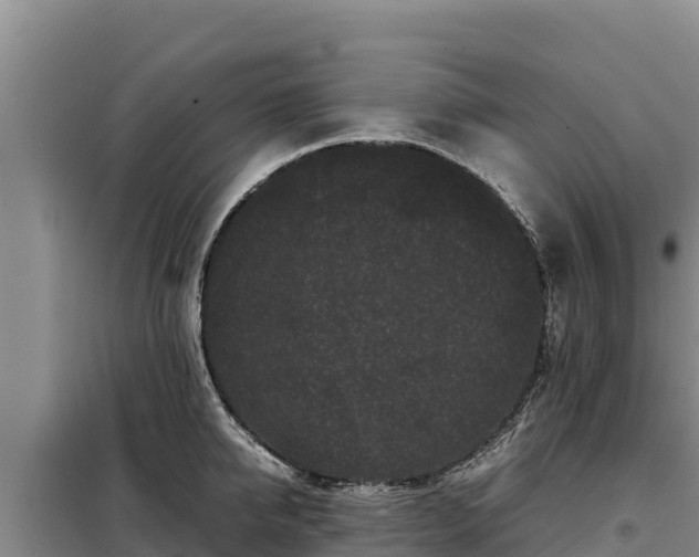 X0000099310950200805091015