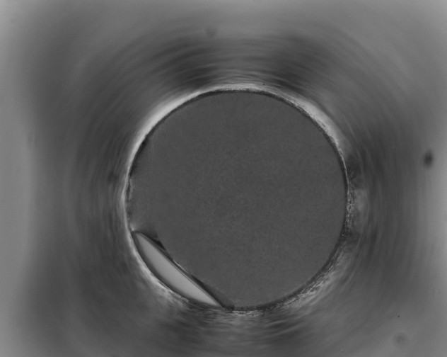 X0000099310951200805091015