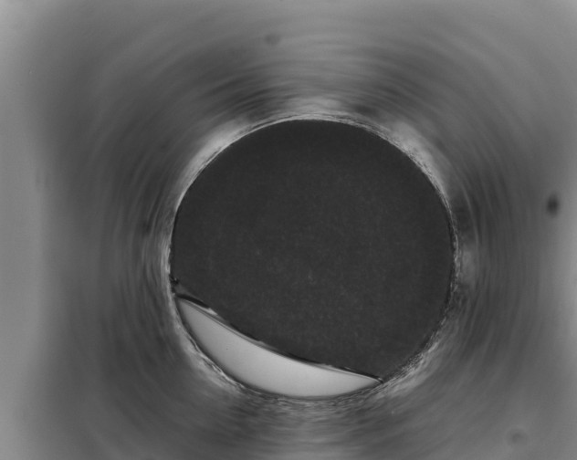 X0000099310954200805091015