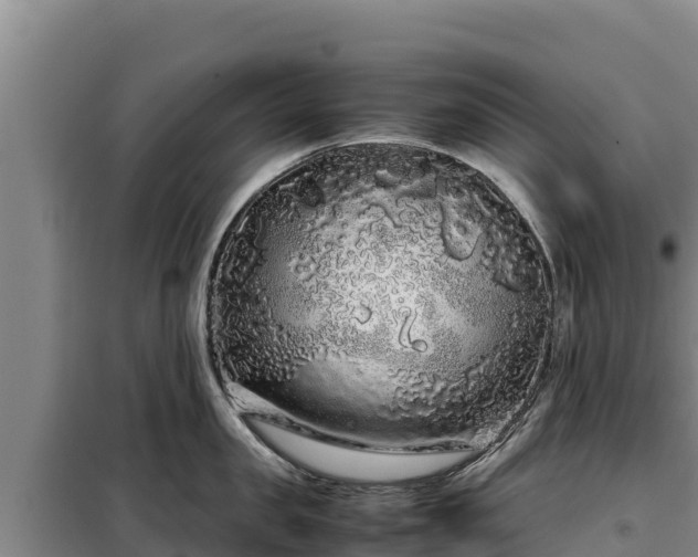 X0000099310957200805091015
