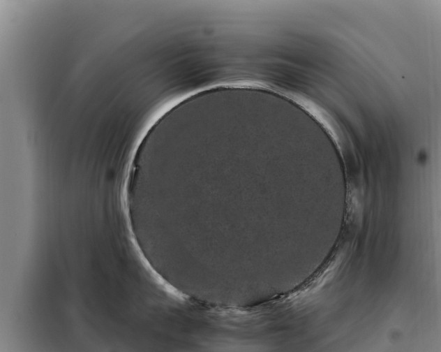 X0000099310959200805091015