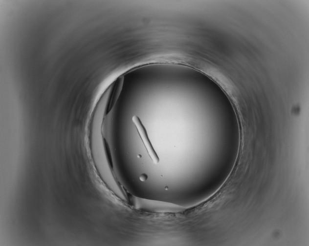 X0000099310960200805091015