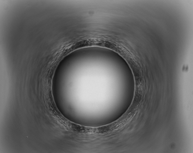 X0000099310961200805091014