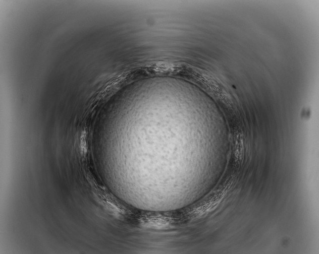 X0000099310962200805091014