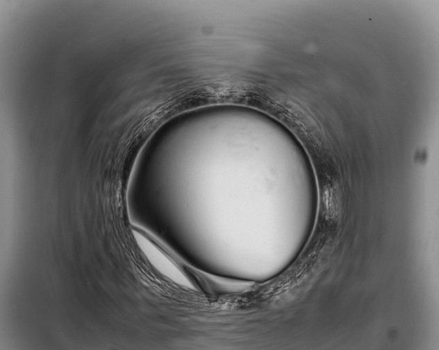X0000099310963200805091014