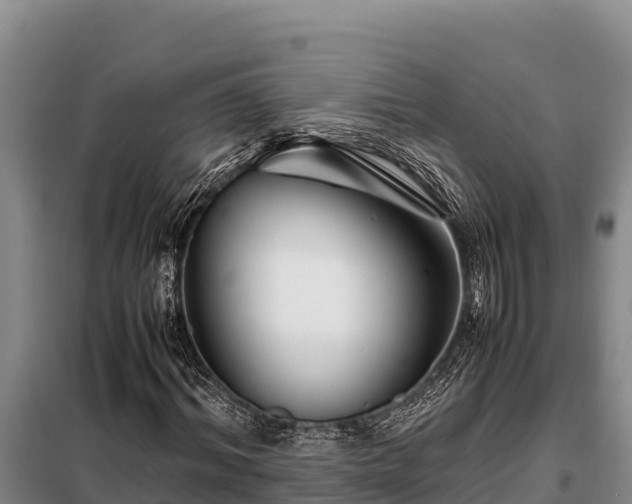X0000099310964200805091014