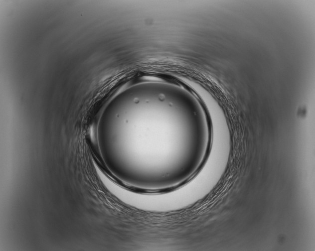 X0000099310965200805091014