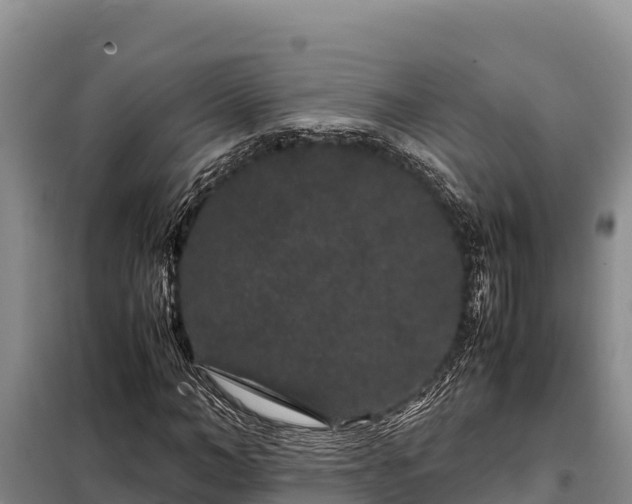 X0000099310966200805091014