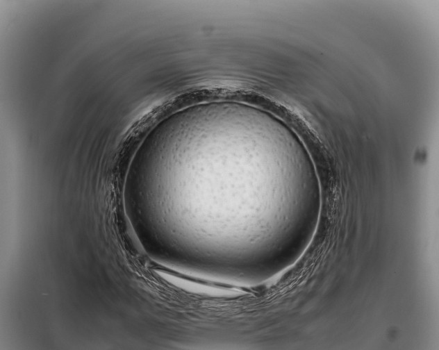 X0000099310967200805091014