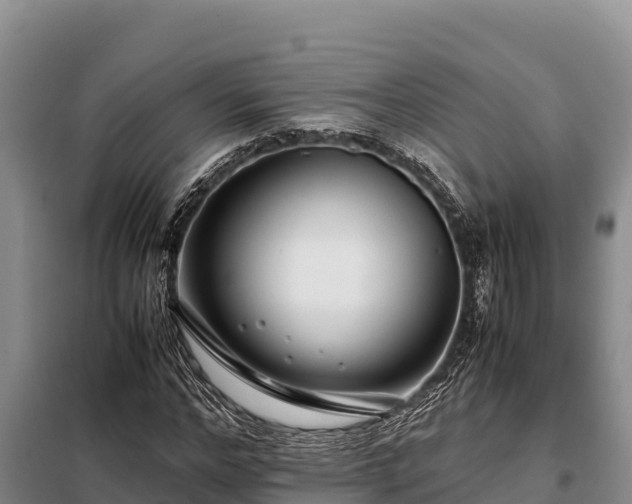 X0000099310968200805091014