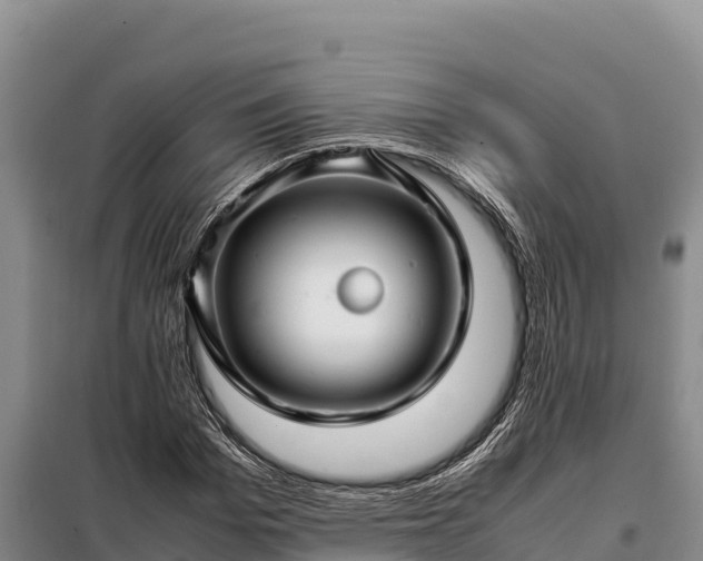 X0000099310969200805091014
