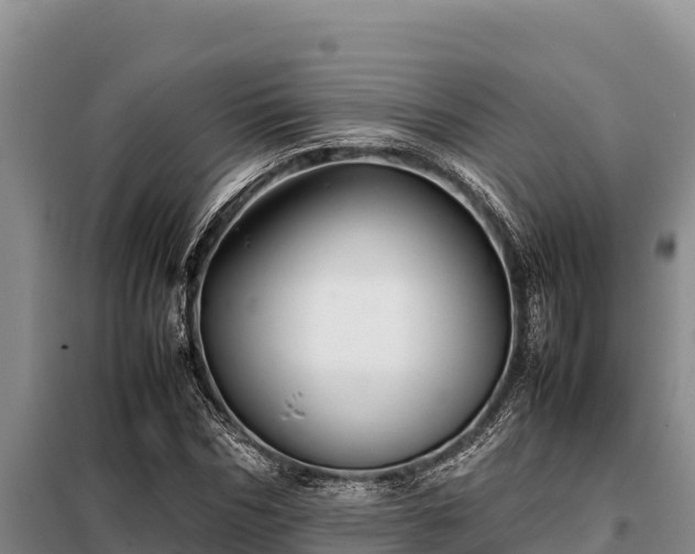 X0000099310970200805091014
