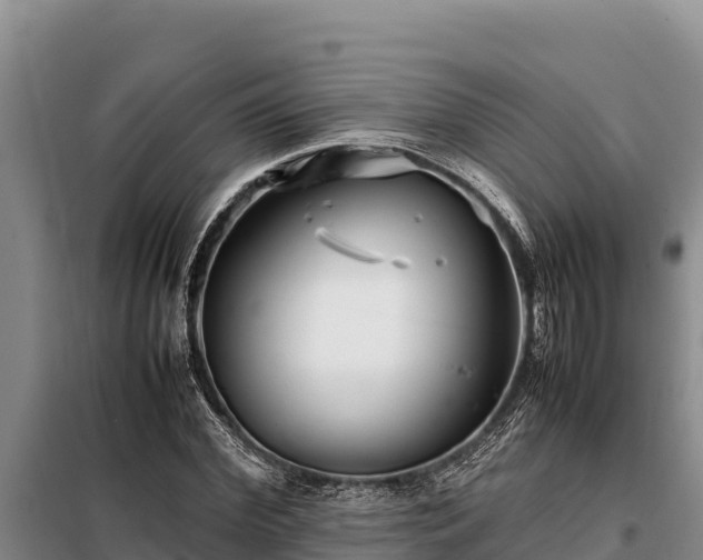 X0000099310972200805091014