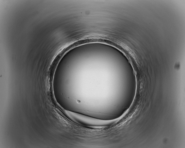 X0000099310973200805091014