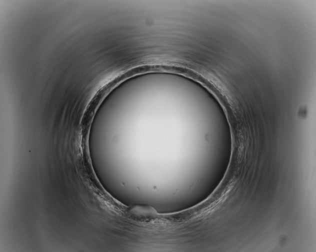 X0000099310974200805091014