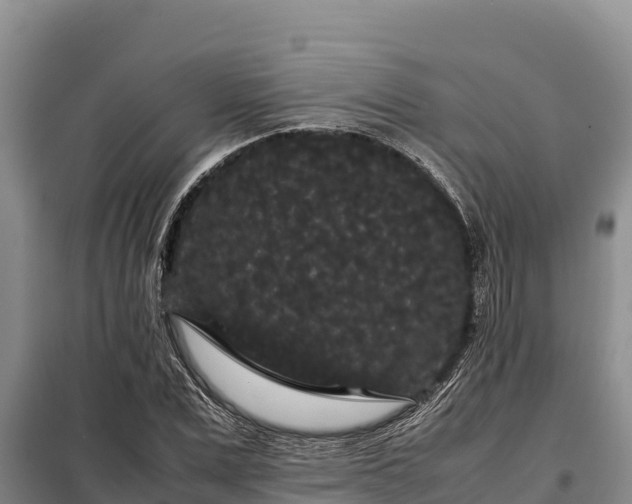 X0000099310975200805091014