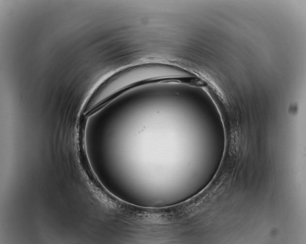X0000099310976200805091014
