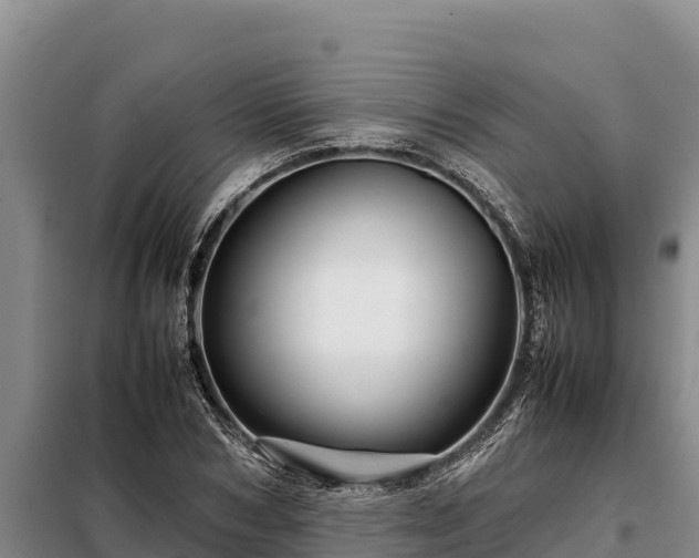 X0000099310978200805091014