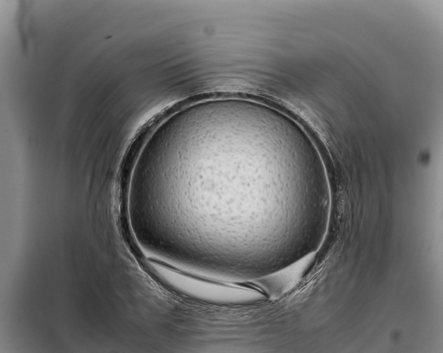 X0000099310979200805091014